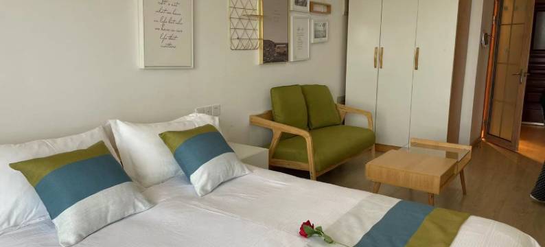 一夕一夏公寓(陆翔路2号分店)图片