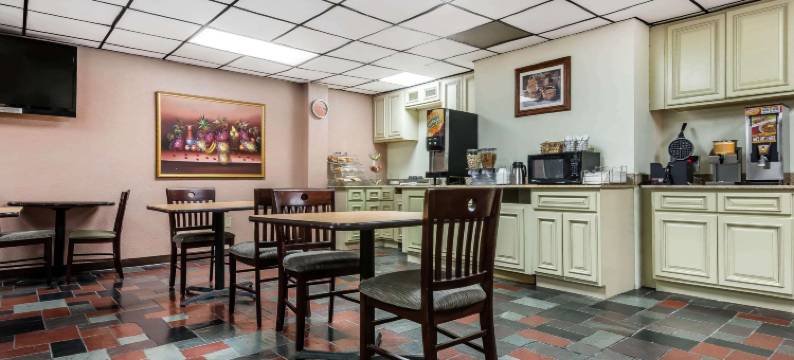 宾厄姆顿维斯塔尔凯艺套房酒店(Quality Inn & Suites Binghamton Vestal)图片