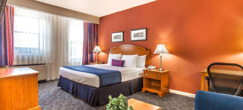 泽西市华美达酒店(Ramada by Wyndham Jersey City)图片