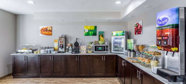 品质酒店及套房-埃尔帕索I-10(Quality Inn & Suites West El Paso I-10)图片