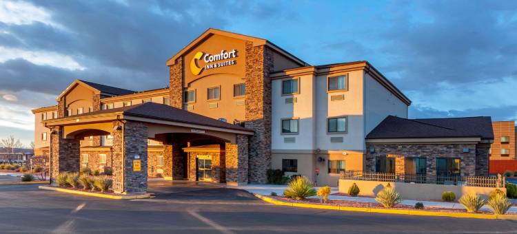 佩奇鲍威尔湖舒适套房酒店(Comfort Inn & Suites Page at Lake Powell)图片