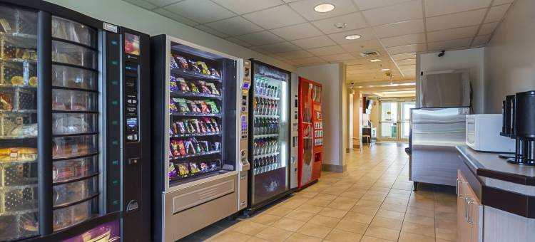 莫特尔6号汽车旅馆 - 多伦多东 - 惠特比(Motel 6 Whitby, on - Toronto East)图片