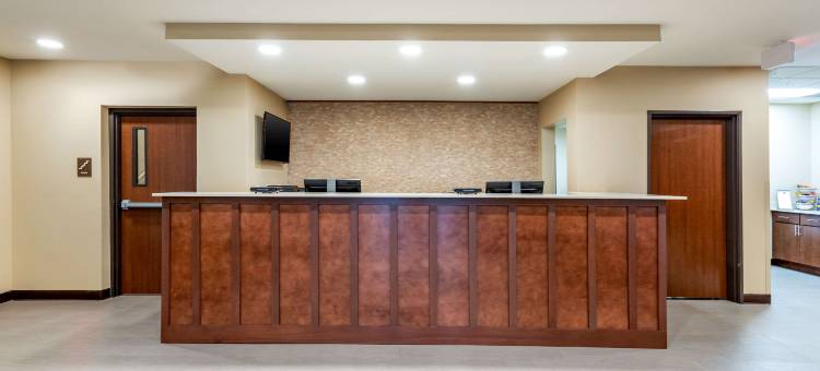 西德梅茵舒适套房酒店(Comfort Inn & Suites West des Moines)图片