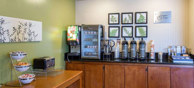 贝克斯菲尔德北舒眠套房酒店(Sleep Inn & Suites Bakersfield North)图片