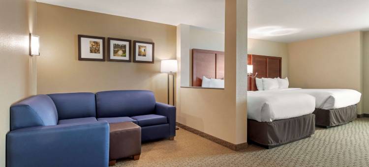 尤里斯舒适酒店客栈及套房(Comfort Inn & Suites Euless DFW West)图片