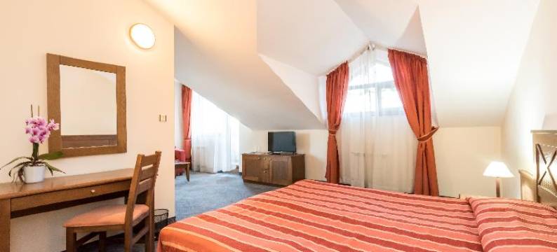 埃维莉娜宫殿酒店(Evelina Palace Hotel)图片