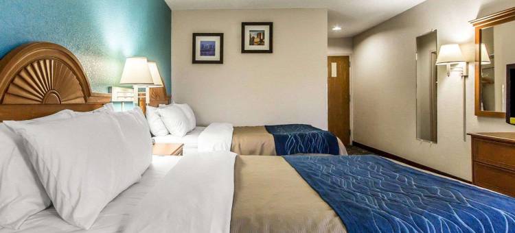 凯艺套房酒店(Quality Inn & Suites)图片