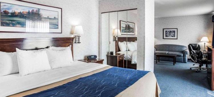 贝灵厄姆舒适酒店(Comfort Inn Bellingham)图片