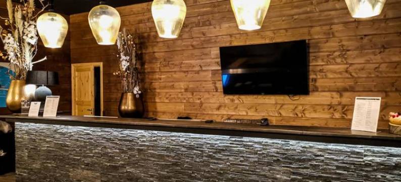 北极光乡村旅馆(Northern Lights Village Saariselkä)图片