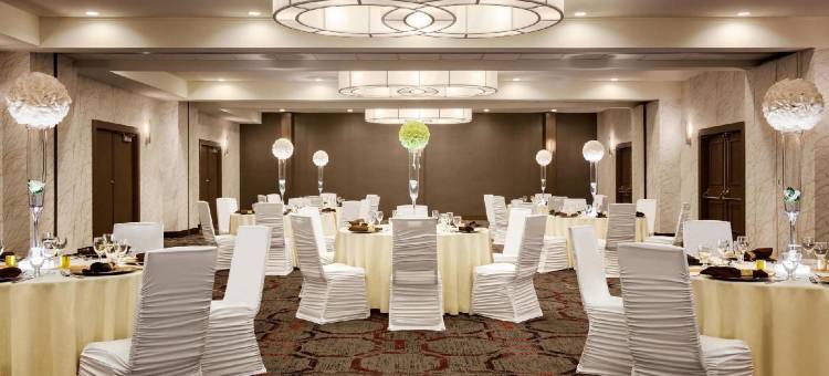 多伦多机场西希尔顿逸林酒店(DoubleTree by Hilton Hotel Toronto Airport West)图片