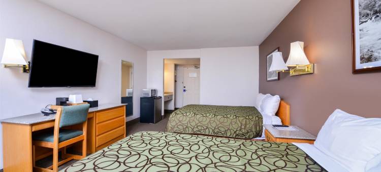 维尔蒙加拿大最佳价值酒店(Days Inn by Wyndham Valemount)图片