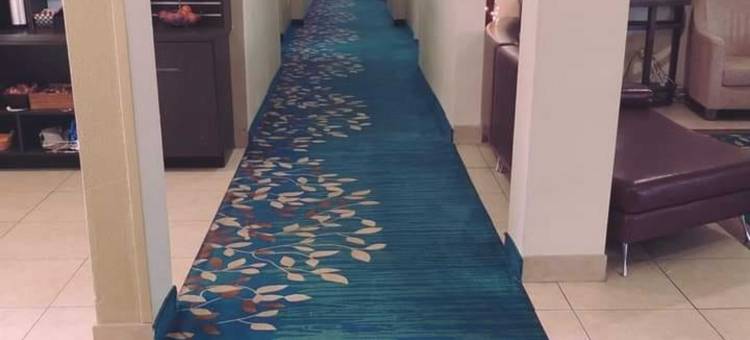 Candlewood Suites 休斯顿医疗中心 by IHG(Candlewood Suites Houston Medical Center)图片