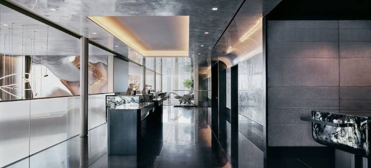 纽约市哈德逊广场春分酒店(Equinox Hotel Hudson Yards New York City)图片