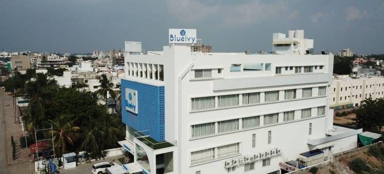 布鲁艾维酒店(Hotel Blueivy Anand)图片