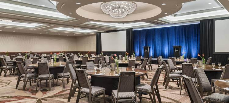卡尔加里克莱里喜来登套房酒店(Sheraton Suites Calgary Eau Claire)图片