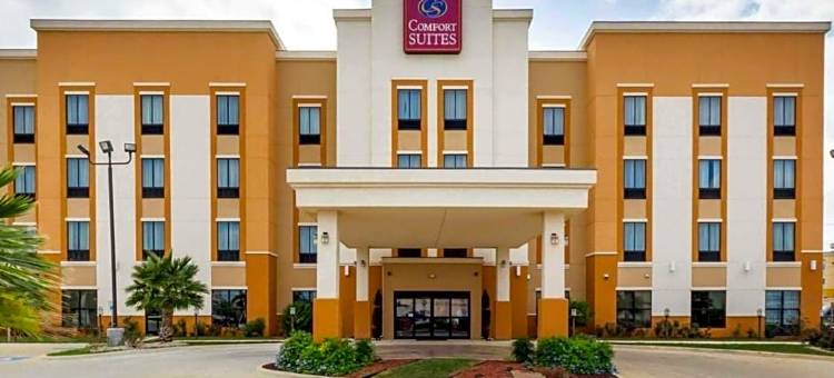 科图拉I-35附近舒适套房酒店(Comfort Suites Cotulla Near I-35)图片