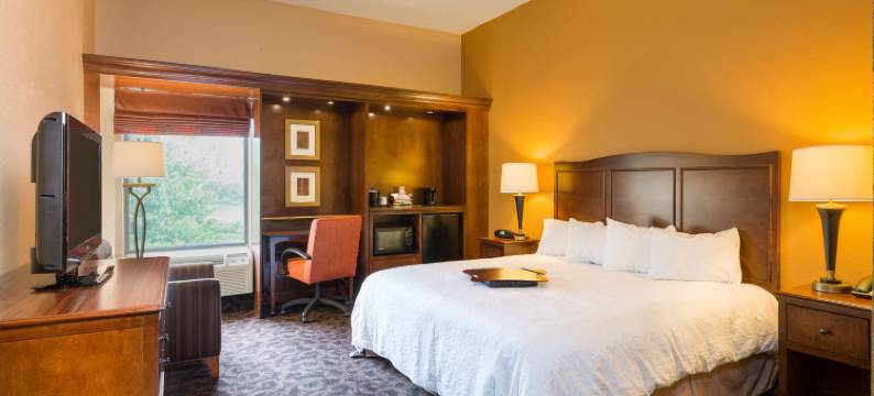 希尔顿欢朋酒店-丹维尔(Hampton Inn Danville)图片