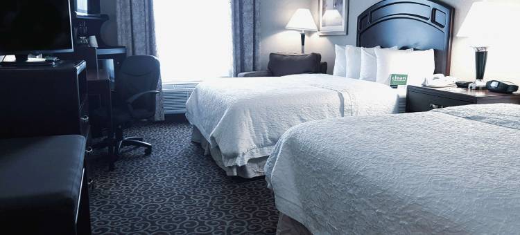 埃德蒙顿国际机场希尔顿欢朋套房酒店(Hampton Inn & Suites by Hilton Edmonton International Airport)图片