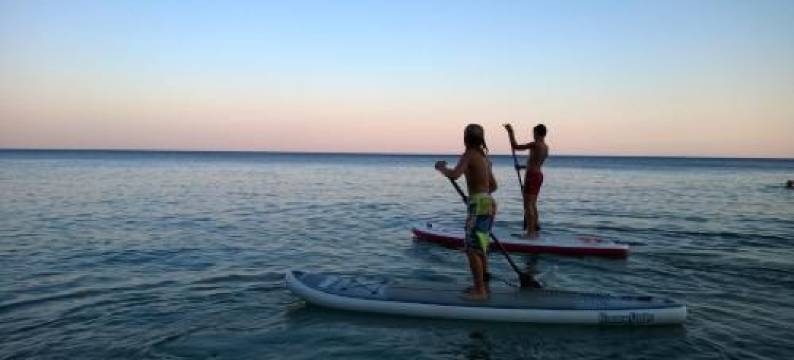 Ikaria Studios图片