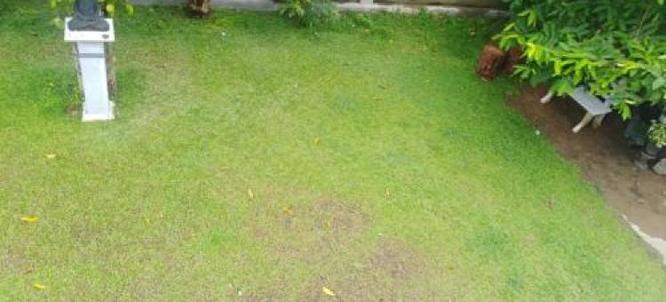 睿智假日民宿(Smart Holiday Inn)图片