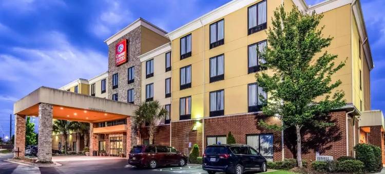 亚特兰大南部麦克多诺舒适套房酒店(Comfort Suites McDonough Atlanta South)图片