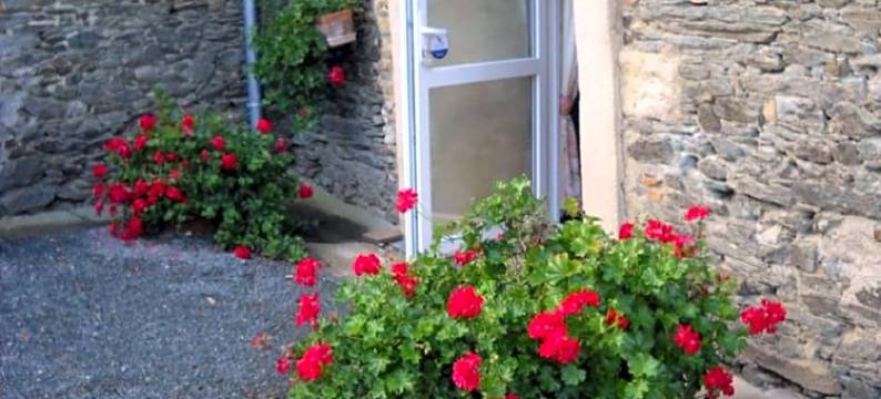 德玛内德拉克尔酒店(Domaine de la Cour)图片