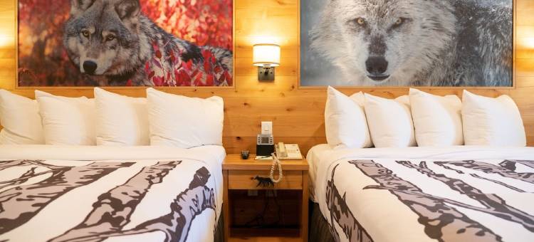 班福洛基山度假村(Banff Rocky Mountain Resort)图片