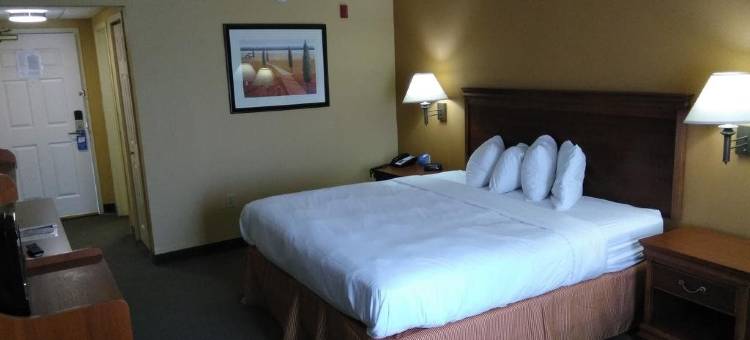 克林顿呗盟套房酒店(Baymont by Wyndham Clinton)图片