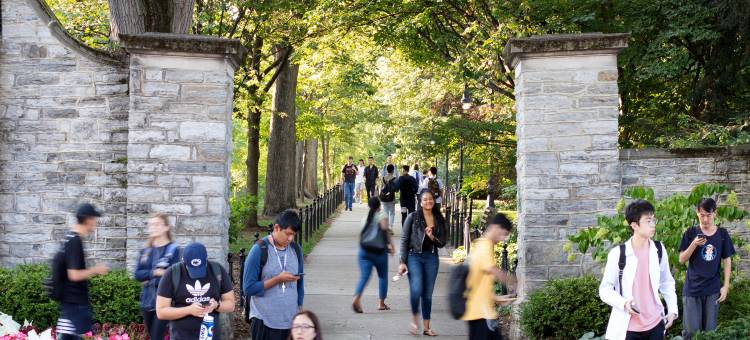 希尔顿州立学院研究生酒店(Graduate by Hilton State College)图片