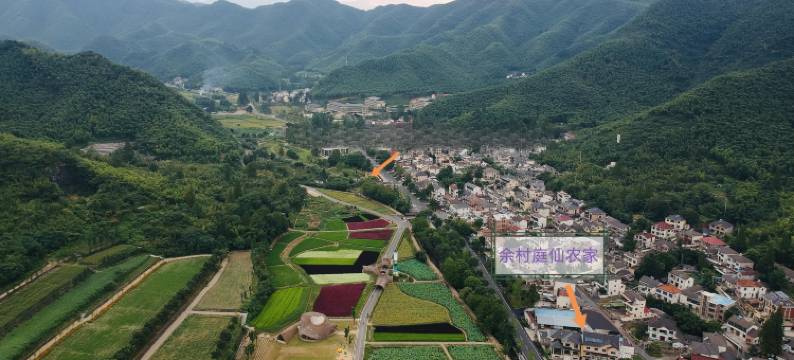 安吉庭仙农家(余村两山景区店)图片