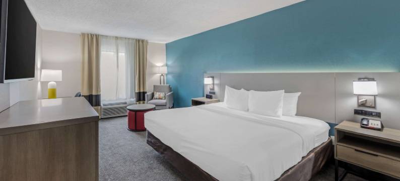 美国80号高速公路舒适酒店(Comfort Inn US Hwy 80)图片