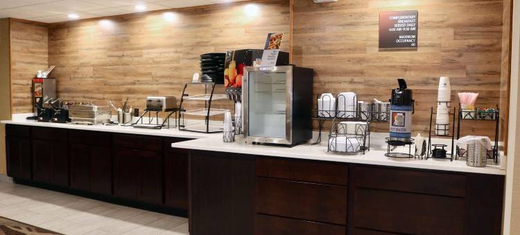 福斯托里亚贝斯特韦斯特套房酒店(Best Western Fostoria Inn  Suites)图片