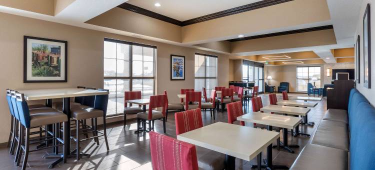 锡达拉皮兹CID东爱荷华机场舒适套房酒店(Comfort Inn & Suites Cedar Rapids Cid Eastern Iowa Airport)图片