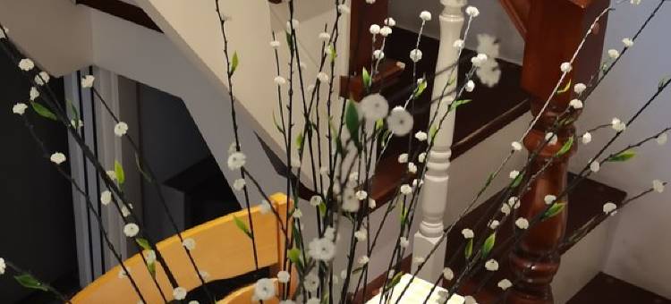 日月公寓(源水路分店)图片