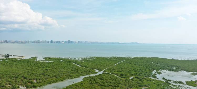 海湾壹号康养旅居之家公寓(园田路分店)图片