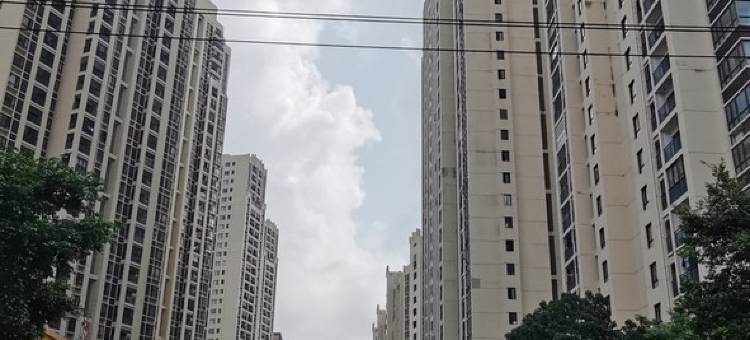 银海区华一红树林莲蓬哥哥公寓(仁爱路分店)图片