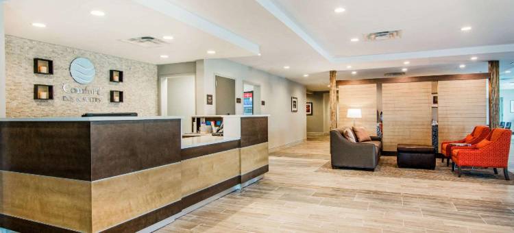 舒适套房旅馆(Comfort Inn & Suites East Ellijay)图片