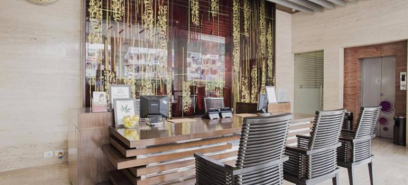 马赛克酒店-诺伊达(Mosaic Hotel, Noida)图片