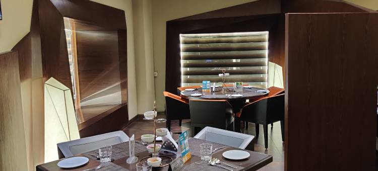 科库恩豪华商务酒店(Cocoon Luxury Business Hotel)图片