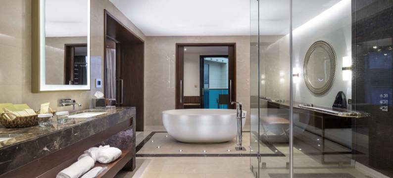 巴统希尔顿酒店(Hilton Batumi)图片