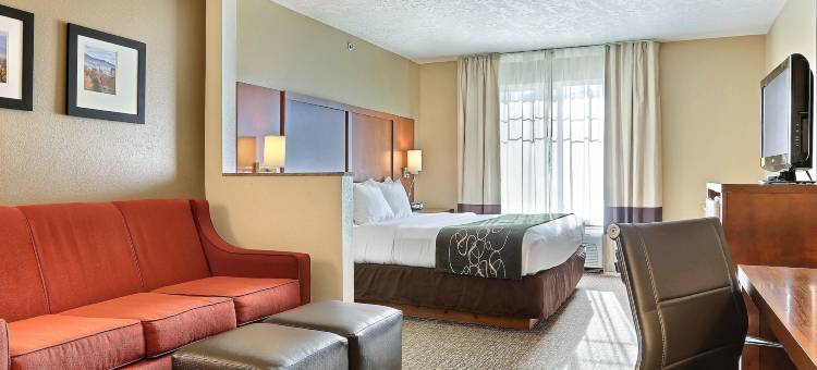 机场舒适套房酒店(Comfort Suites Airport)图片
