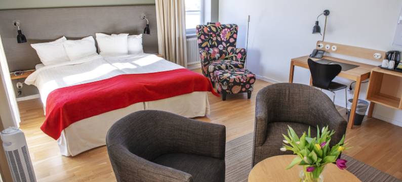 斯特兰奈斯比谢普斯阿姆斯酒店(Hotel Bishops Arms Strängnäs)图片