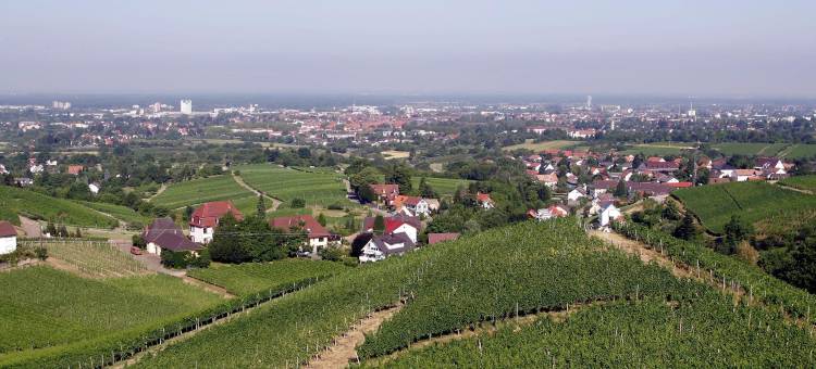 奥芬堡智选假日酒店(Holiday Inn Express Offenburg)图片