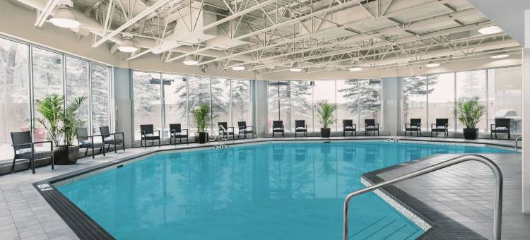卡尔加里机场希尔顿花园旅馆(Hilton Garden Inn Calgary Airport)图片