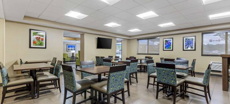 赫恩登 - 里斯顿舒适酒店(Comfort Inn Herndon-Reston)图片