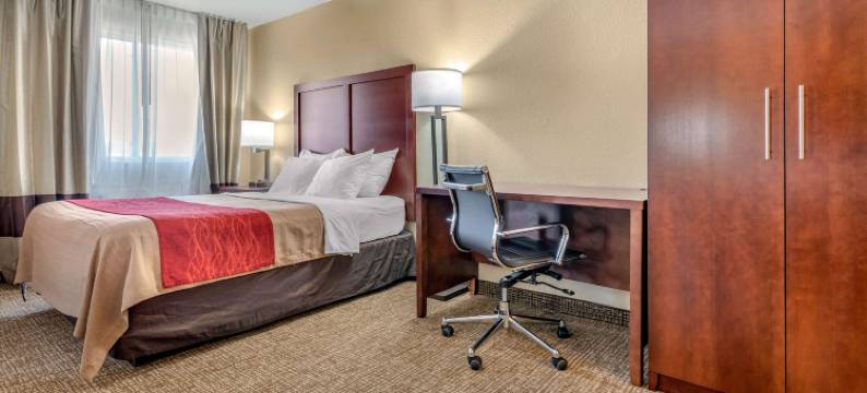 舒适酒店弗里蒙特(Comfort Inn Fremont)图片