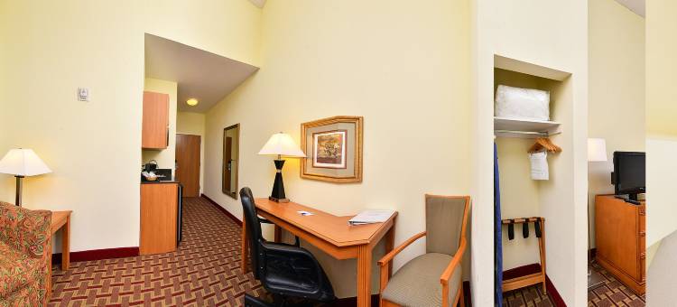 洲际智选假日酒店及套房坦帕-安德森路/退伍军人(Holiday Inn Express & Suites Tampa-Anderson RD/Veterans Exp)图片