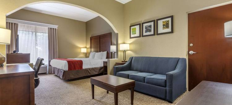 莫克斯维尔 I-40 舒适套房酒店(Comfort Inn & Suites Mocksville I-40)图片
