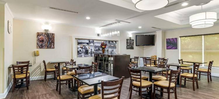 蒙哥马利东I-85东舒眠套房酒店(Sleep Inn & Suites Montgomery East I-85)图片