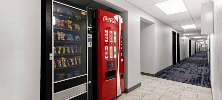 杜马斯伊克诺旅馆(Econo Lodge Dumas)图片